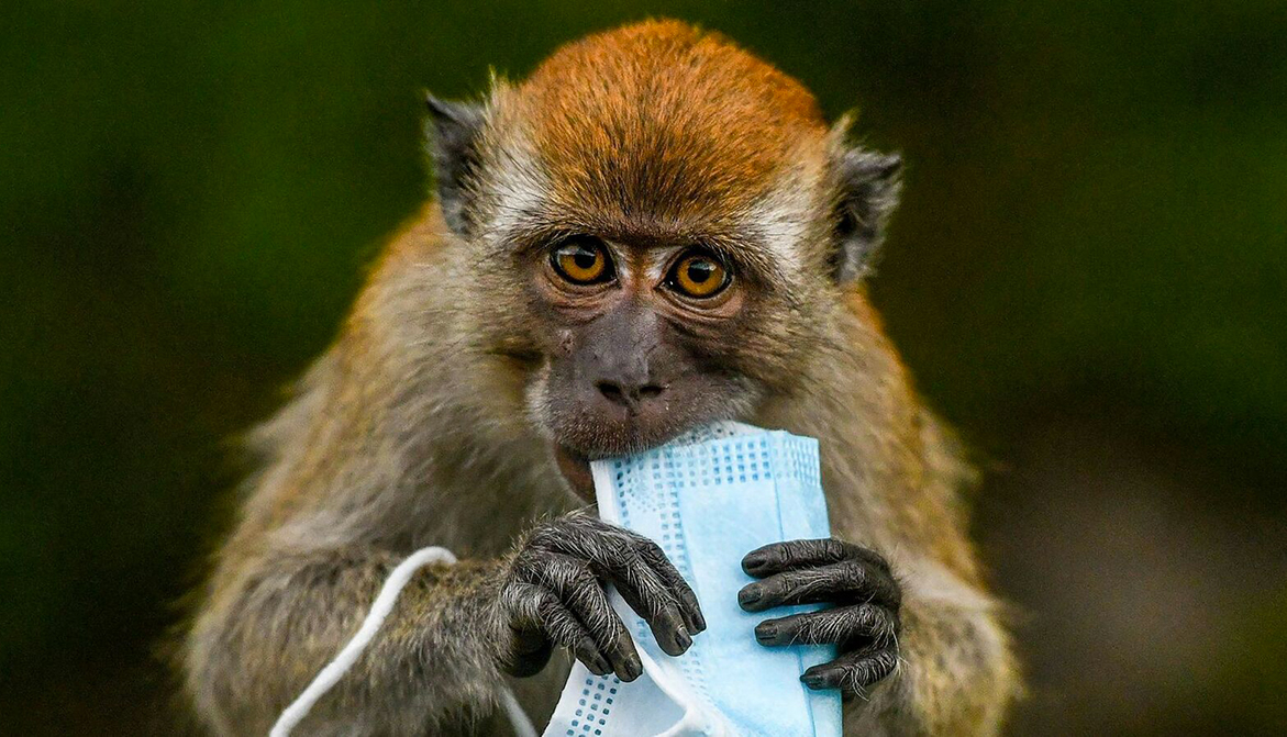 30millionsdamis's tweet photo. La #PollutionPlastique n’est pas un cliché : elle tue chaque année des milliers d’animaux. Un fléau accentué par la crise de la #Covid19. Aux Etats d’adopter des mesures à la hauteur des enjeux ! #RéAgissons #ChangeonsDeModèle #JeudiPhoto 👉 https://t.co/4Gyubn5cnf https://t.co/DV9qAosIJh