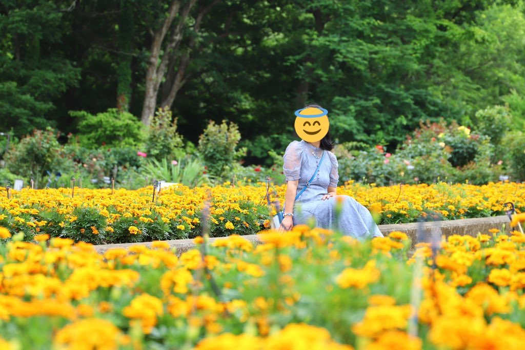 F30___320i's tweet photo. 2022.6/21
撮影21回目
＃ポートレート #一眼レフ #紫陽花 https://t.co/BnXJkPPJ9z
