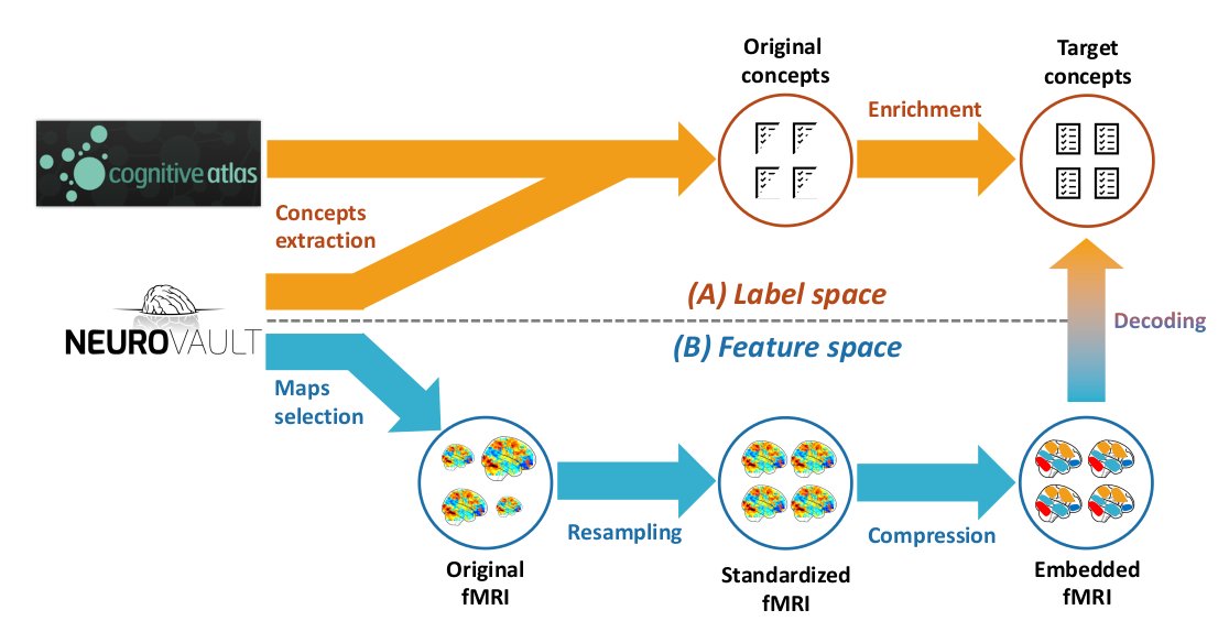 raphaelmeudec's tweet image. Thrilled to give an oral tomorrow at 10:30 at #OHBM22!

We successfully decode 50 cognitive processes from fMRI maps by exploiting the large amount of data in @Neurovault and leveraging the @CognitiveAtlas ontology

See you in M1 for the Modeling and Analysis Activation session!