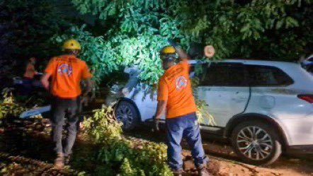 tvusuluteca's tweet photo. #Enterese | Protección Civil informa que en horas de la madrugada realizaron remoción de árbol que cayó sobre un vehículo en el kilómetro 9, Carretera de Oro, Ilopango. https://t.co/PGRmJ9yvE0