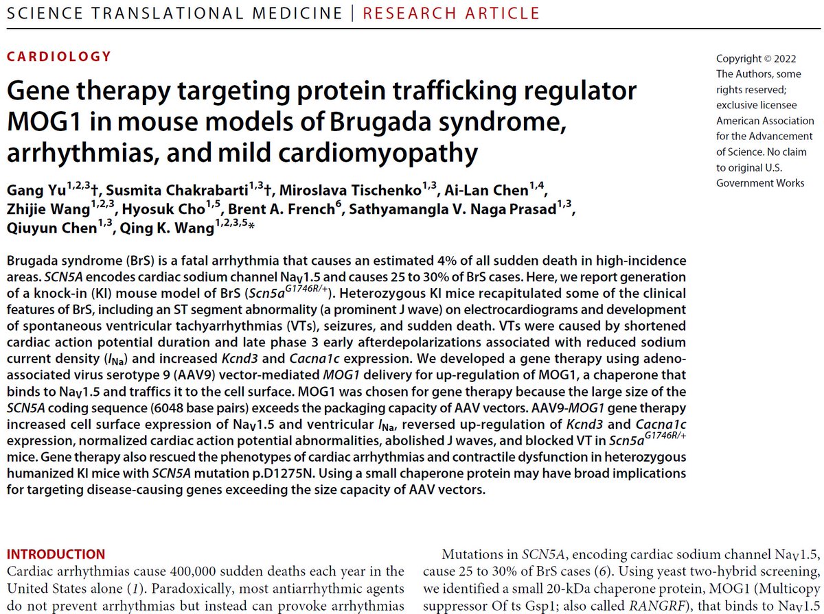 Gene Therapy for Brugada Syndrome