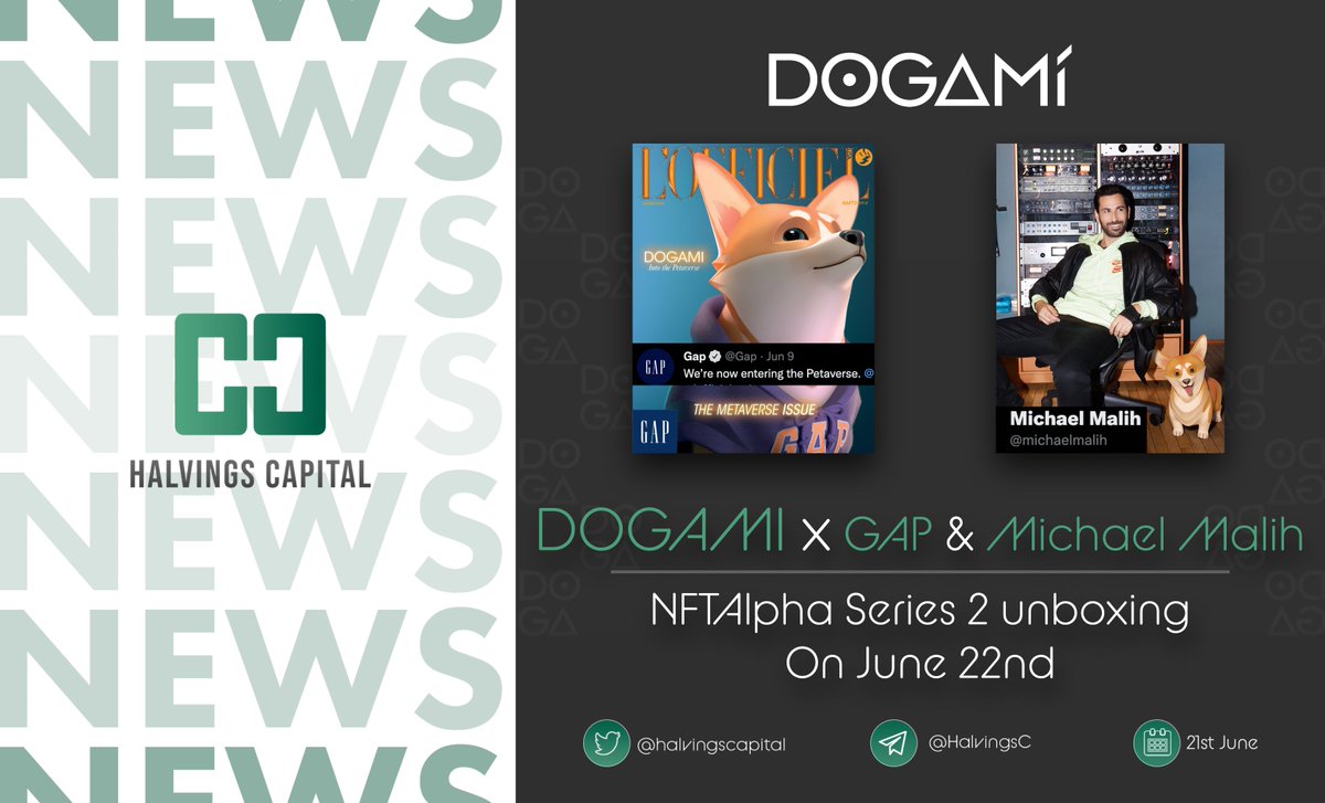 Halvings Capital tweet media