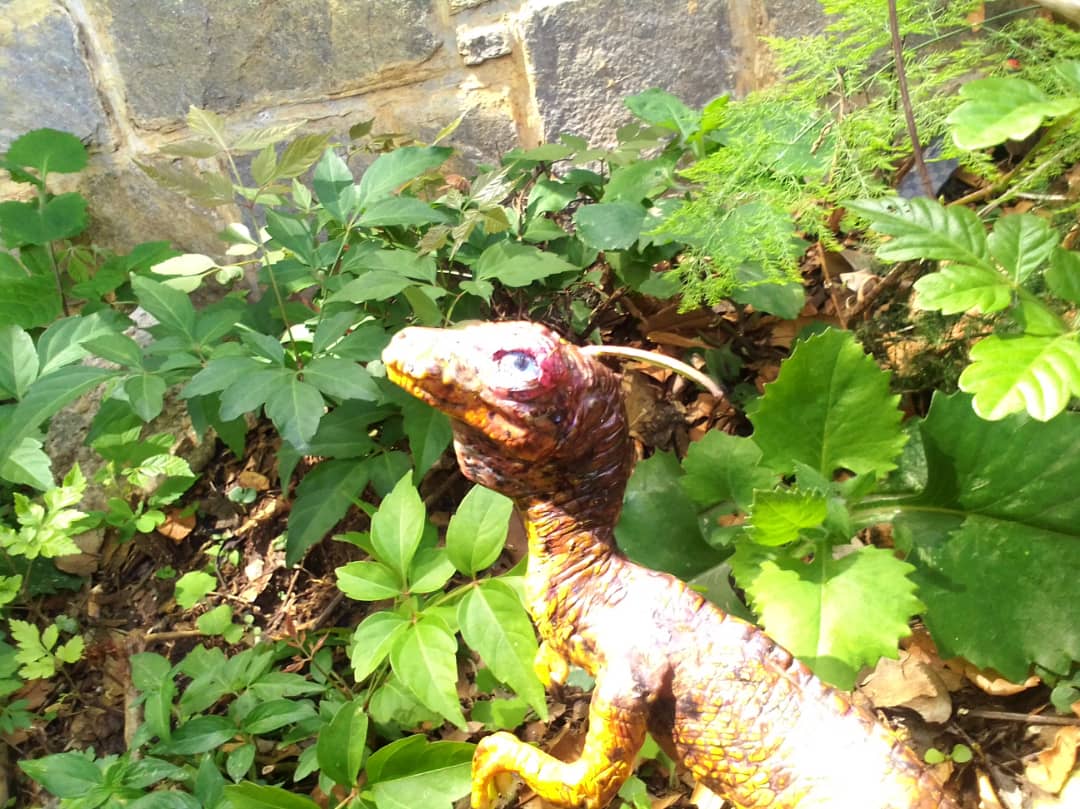 TeAspie 3.0 tweet media