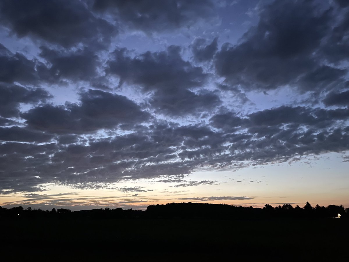 Good morning Summer Solstice ❣️