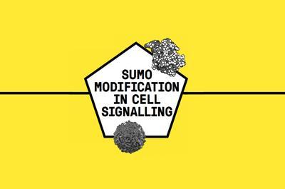 SEB @sebiology.bsky.social tweet media