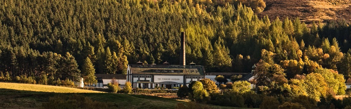 Elixir Distillers tweet media