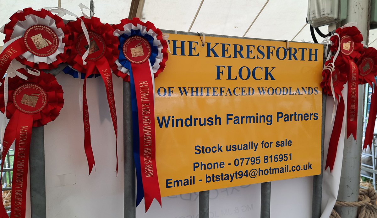 WindrushFarming's tweet photo. ROYAL THREE COUNTIES SHOW 2022
Whitefaced Woodland classes
🏆 breed champion - Wharfedale Delilah
🏅reserve breed champion - Keresforth Josephine
🥇ewe - Wharfedale Delilah
🥇ewe lamb - Keresforth Josephine
🥇ram - Wharfedale Boris
🥇ram lamb - Keresforth Gordon
@3countiesshows https://t.co/QUzkKHHpmY