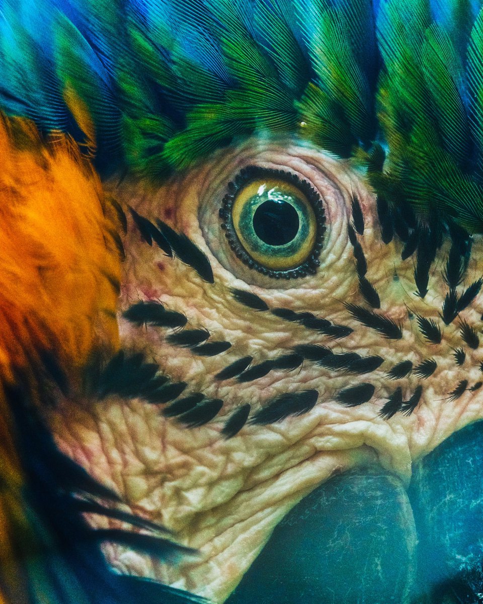 Once matter connects physically, it remains energetically connected.

Everything has been connected before. Therefore we are one.
The question is not about the intensity of this connection.
It's what it means at the moment, and its purpose.