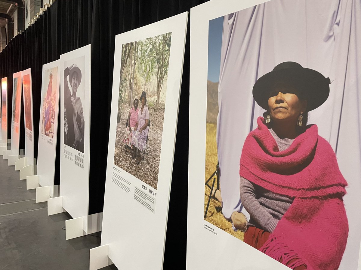 I think the cultural exhibitions might be my favourite bit of #edd22 here’s selection from a couple