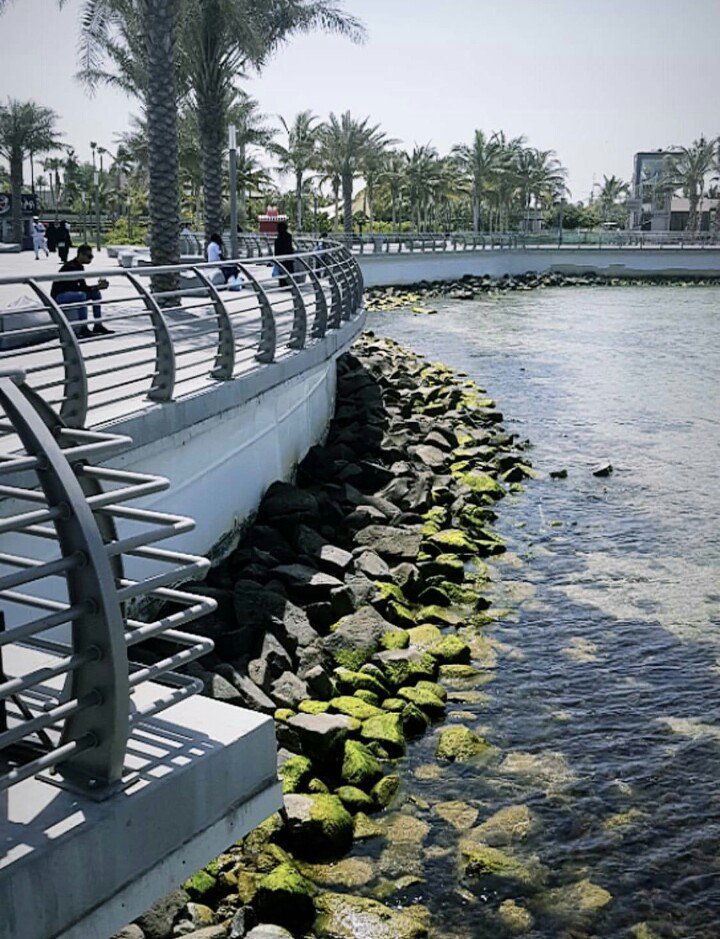 إذا أردت ان تعيش سعيداً فلا تحلل كل شي ولاتفسر كل شي ولا تدقق في كل شي .. تجاهل كثيراً فإن الذين حللوا الأماس وجدوا أصله فحماً ..

                 🌹مساء الخير 🌹