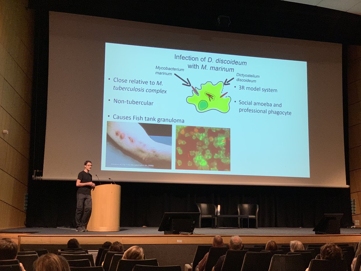 SoldatiLab's tweet photo. Our phD candidate Jahn Nitschke did it well at #Mycodays ! 👏 A brief overview of his phD project aiming at identify new plant-based anti-infective compounds against mycobacteria in our favorite beast #Dictyostelium https://t.co/9ObBQ6QpxK