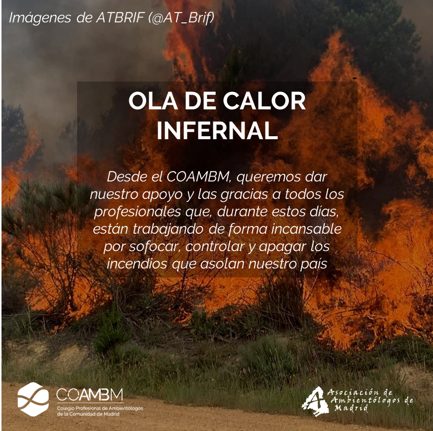 COAMBM's tweet photo. 🔥🧑‍🚒Desde el COAMBM, quisiéramos dar nuestro apoyo a todos los profesionales que, durante estos días, están trabajando de forma incansable por #sofocar, #controlar y #apagar los #incendios #forestales #IIFF #IF que asolan nuestro #país, nuestras casas y pueblos. https://t.co/OCBufjfV27