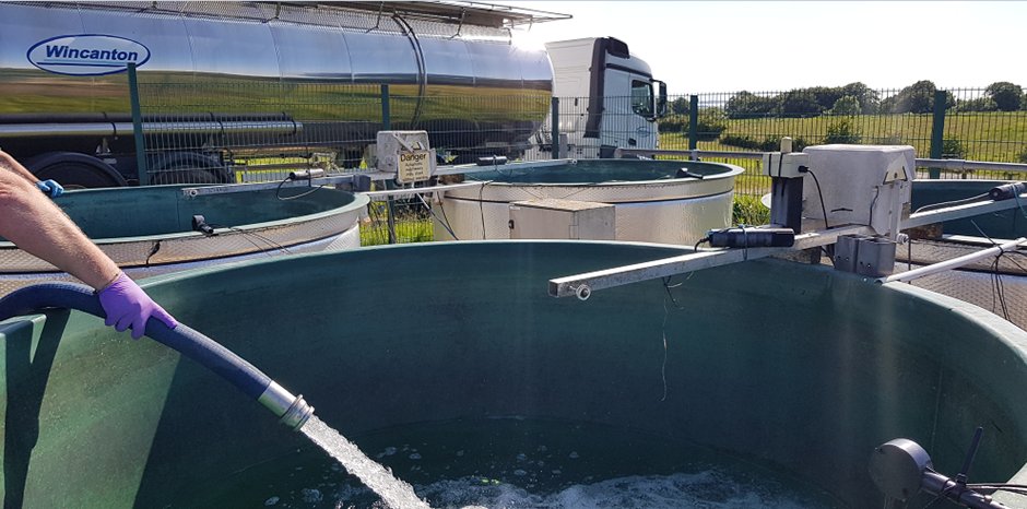 The reservoir water for our #mesocosm facility is here! Excited to start our #TasteAndOdour experiment and meet our transnational access participants. <a href="/aquacosm/">AQUACOSM</a> <a href="/UK_CEH/">UK Centre for Ecology & Hydrology</a>