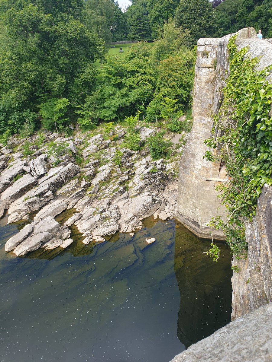 Garry Benson tweet media