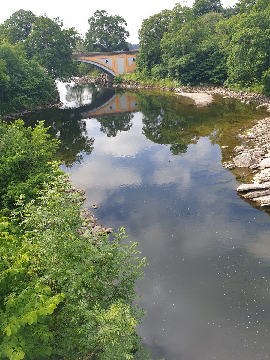 Garry Benson tweet media