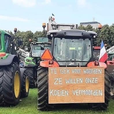 roosvonk's tweet photo. Merkwaardig, een veeboer die protesteert tegen koeien vermoorden. Hoeveel koeien en kalfjes brengen Nederlandse boeren jaarlijks naar het slachthuis? #boerenprotest https://t.co/NgorQL5e1K