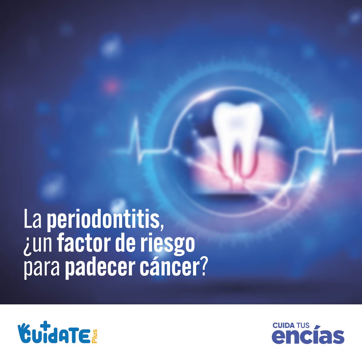 Desde <a href="/cuidatusencias/">cuidatusencias</a> colaboramos con diferentes medios de comunicación para la divulgación de #saludoral #saludencías Es el caso de nuestra colaboración <a href="/CuidatePlus/">CuídatePlus</a> Estos son algunos de los temas abordados durante este año en cuidateplus.marca.com