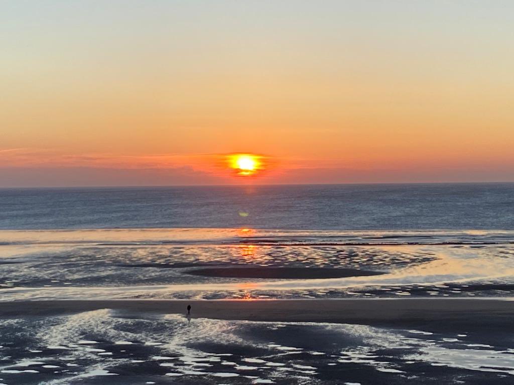 Ever wondered where the weather sayings come from? Come and join us at the Council Chamber, Queen’s Hall, Cuckfield on Tuesday 21st June at 7.30 pm to find out why the Shepherd was delighted. Bill Avenall will explain all! Guests welcome £5 and bring a mug for refreshments.