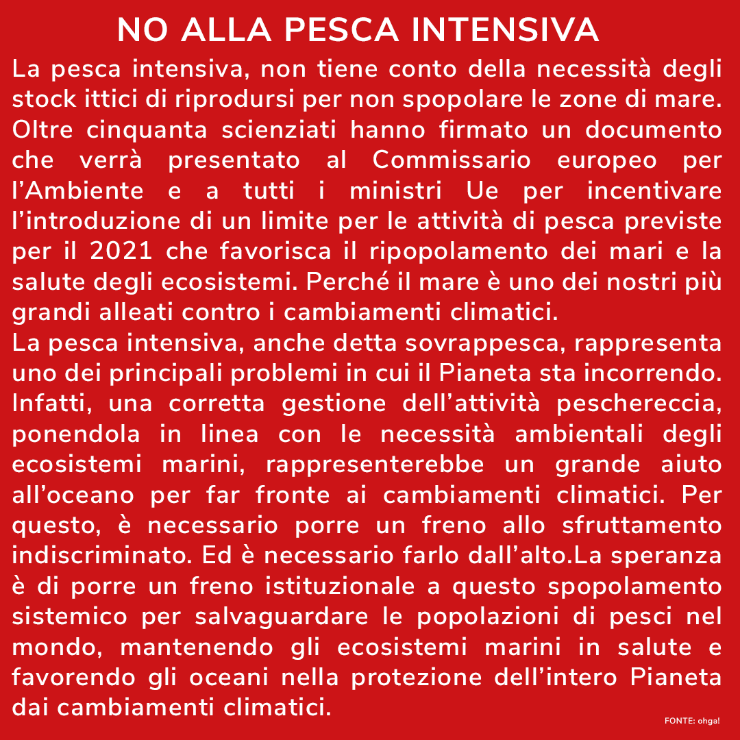 biboo_mr's tweet photo. Una specie ittica che ha risentito molto delle conseguenze della pesca non sostenibile è quella del Tonno Rosso del Pacifico.Bisogna mettere un freno alla sovrappesca,limitando la sua attività e indirizzandola verso una pratica più rispettosa delle necessità naturali https://t.co/oHJqLZezMy