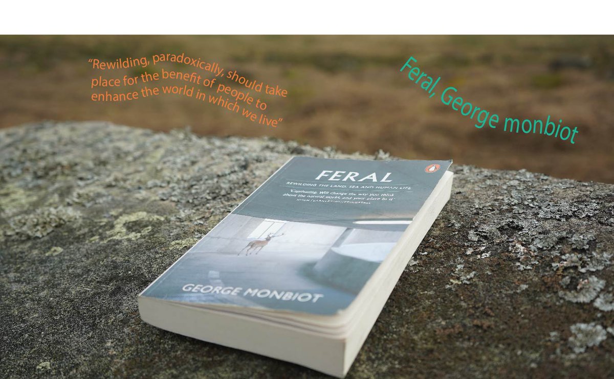 Climate Explorers tweet media