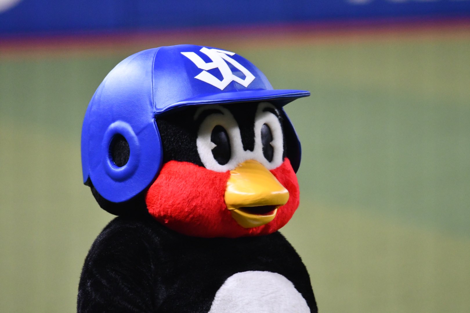 Sayurin 静止芸からのこの仲良しな感じ つば九郎さんようこそ バンテリンドームナゴヤへ つば九郎 ドアラ T Co N6x8gr85gu Twitter