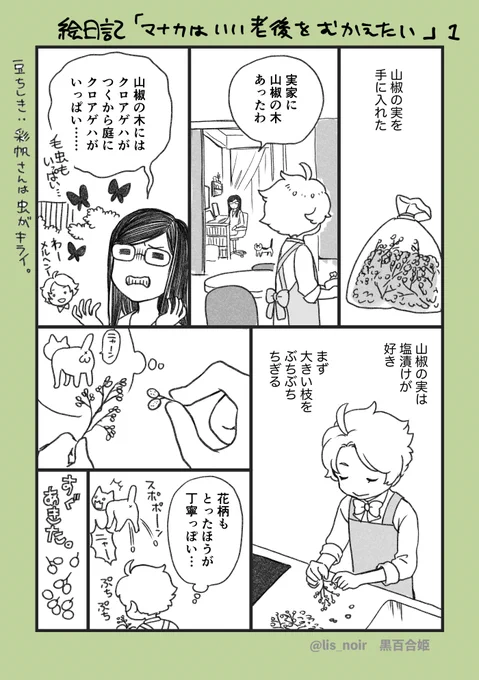 絵日記。山椒の実の旬はそろそろ。詳しい塩加減は検索してどっかの料理のプロの人のレシピみてね。和風パスタやぶっかけうどんにも合いそうで、一年持つらしいけど夏のうちに無くなっちゃいそうだなー。(ま)#絵日記 #日記漫画 #くろゆり日記  