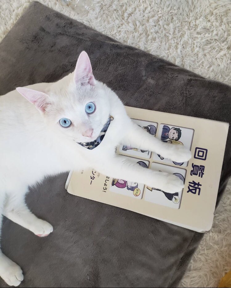 回覧板を読み終えたテトくん