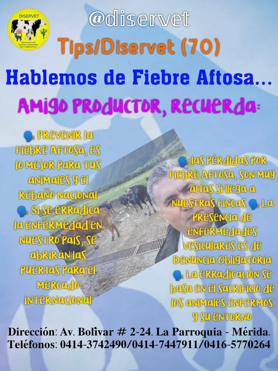 diservet01's tweet photo. 3️⃣Por su importancia en lo económico, social y epidemiológico, presentamos puntos importantes para el conocimiento de nuestros seguidores
@diservet #TipsDiservet #enfermedadesdelganado #fiebreaftosa #erradicacion #prevencion #vacunacion
#vacunatusanimales @mvreinaldorivas https://t.co/S4ZUZ1I9sj