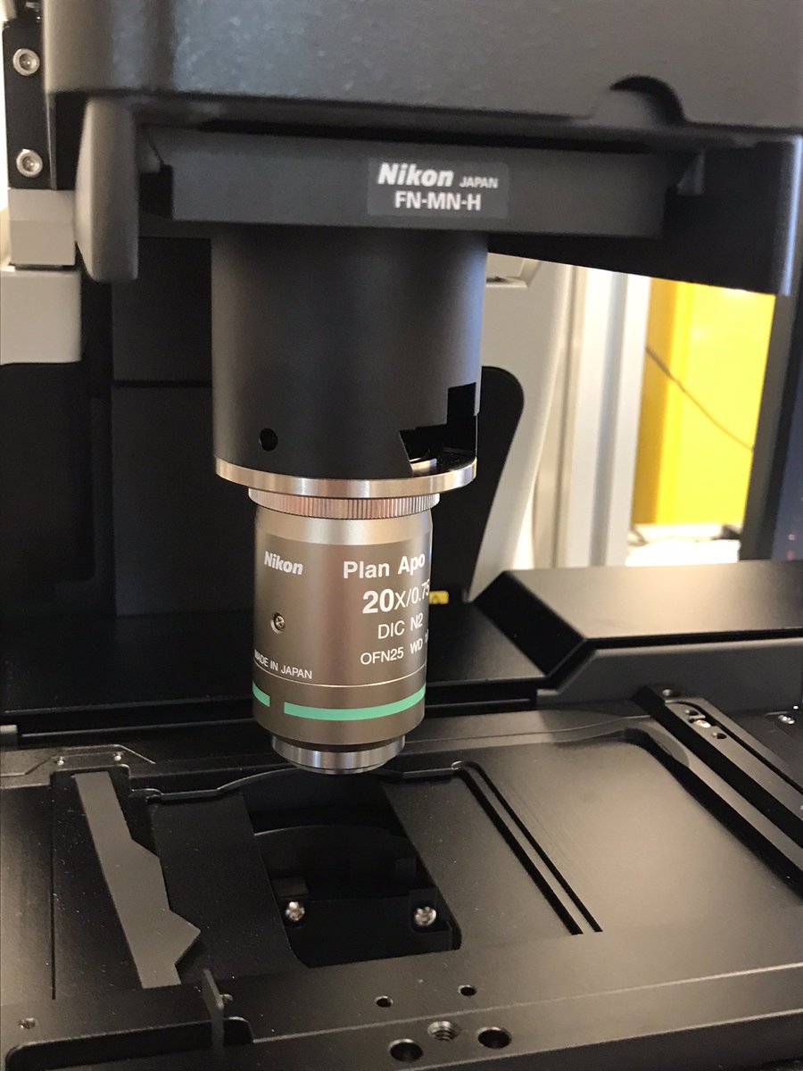 MatthieuNikon's tweet photo. We working on our new AX confocal microscope on upright stand at @NikonFR ! https://t.co/eP2qOjWn2u