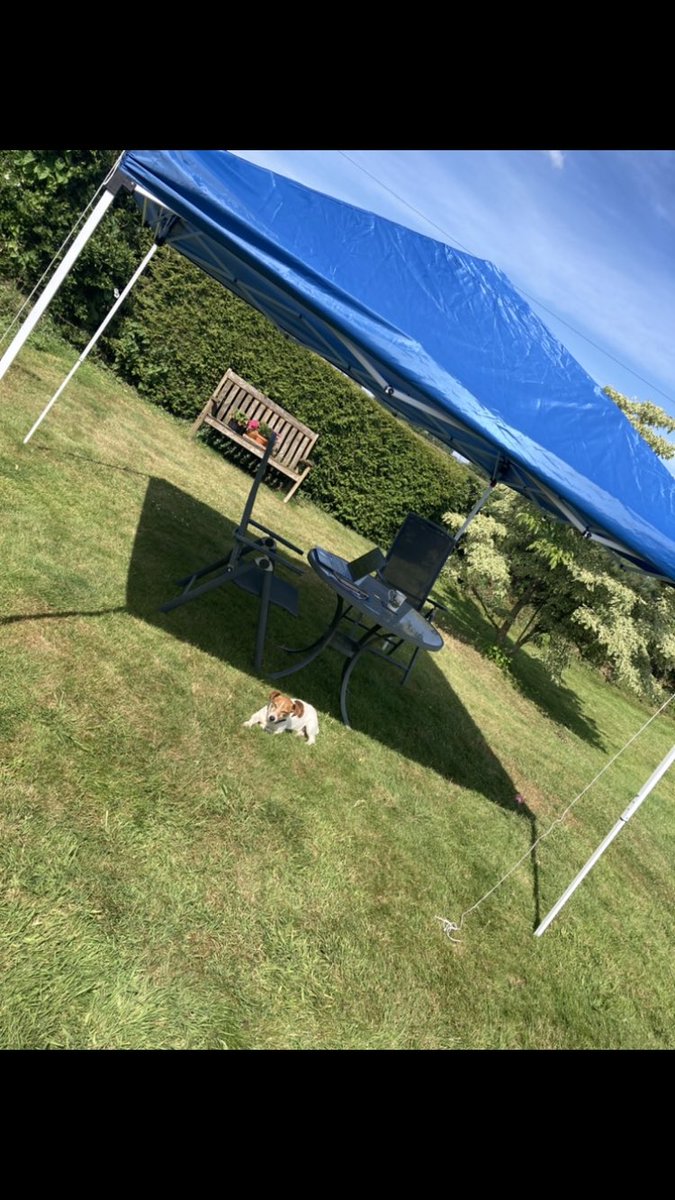 Moved the home office outside to make the most of this weather! Spending the day getting ready for the upcoming summer milk powder offer. Contact your Wynnstay calf specialist for more information. #wynnstay #wynnstaycalfteam