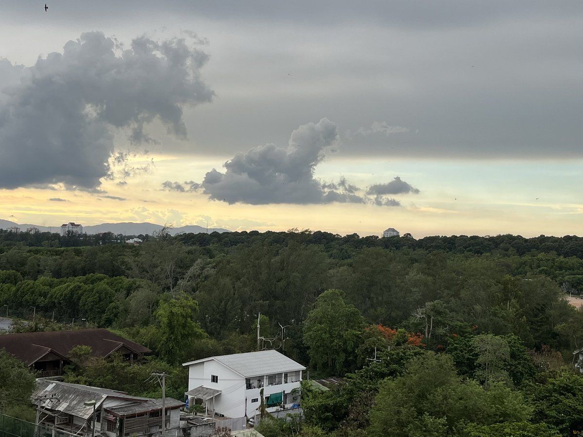 Worldcitizensu1's tweet photo. Back home #photo #photography #homesweethome #loveyourself #taketimeoff #selfcare #askme #sessionsavailable #staywell https://t.co/dpFGCiKTiL