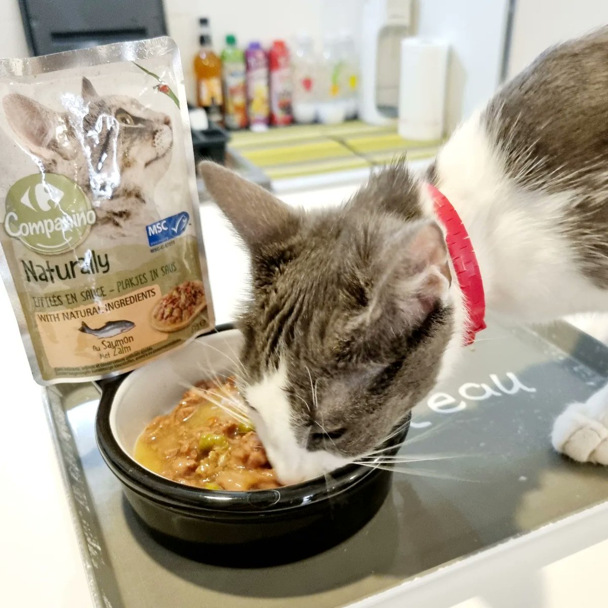 ConcoursTwt's tweet photo. Avez-vous des animaux de compagnie ?

Avec la gamme CARREFOUR Companino Naturally, vous pouvez leur offrir des aliments à base d'Ingrédients naturels ou certifiés bio à des prix accessibles !!

Merci @CarrefourFrance et @trnd_fr 😉

#CarrefourCompanino #QueCestBonDetreNature https://t.co/wWfbby5l1z