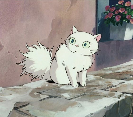 ♡ (@dreamyyarchive) on Twitter photo 