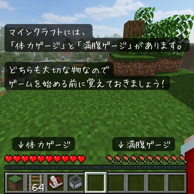 マイクラ 座標を表示方法と見方 絶対座標 相対座標 脱 初心者を目指すマインクラフト