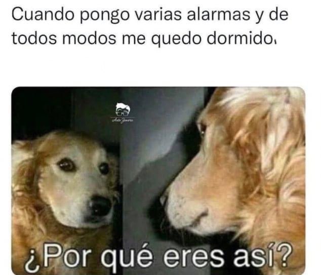 #LlegoElVeranoYb <a href="/La99fm/">La 99 FM</a>
<a href="/YODEBUENAS/">Miguel Barrientos Mx</a> <a href="/YoAmoLa99/">AmoLa99 💙🎶📻 #YoAmoLa99</a> <a href="/ClubChavorrucos/">ClubChavorrucos</a> <a href="/FansDeLa991/">Fans De La 99</a>