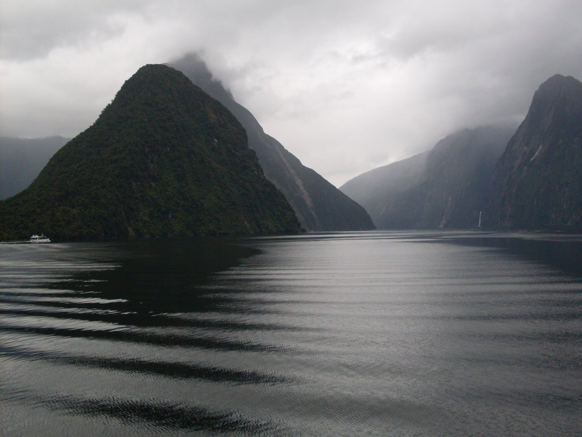 archillect's tweet image. 