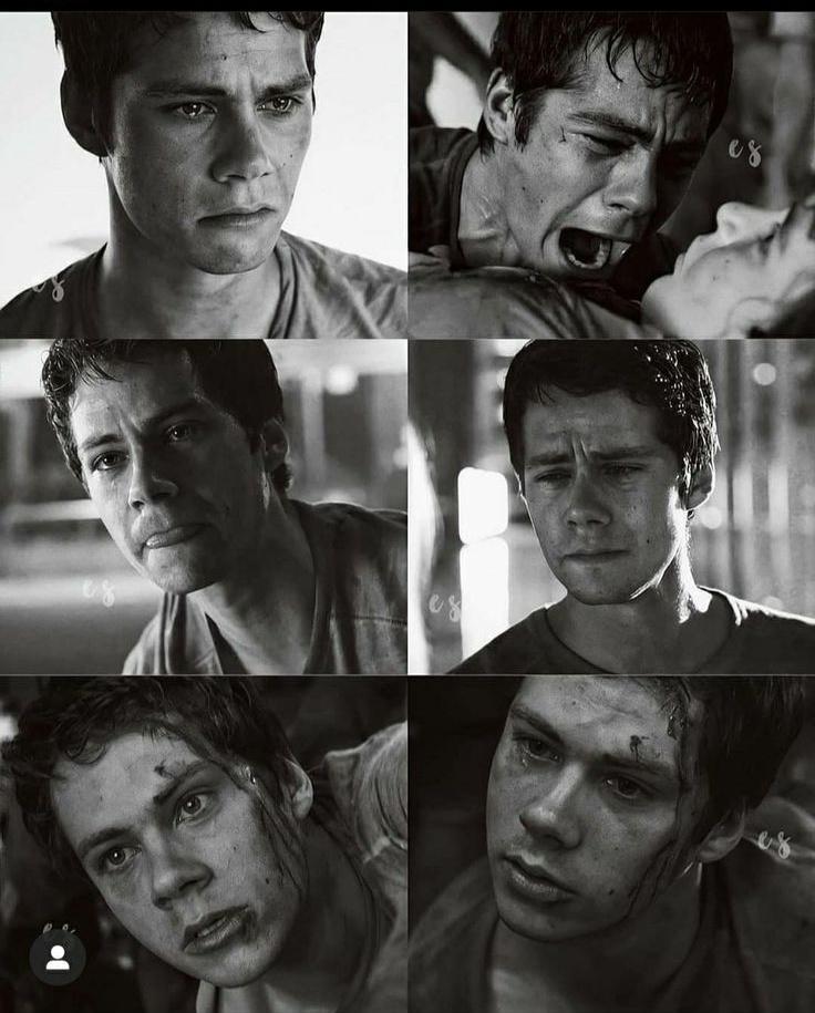 poemcraving's tweet photo. #Dylan #dylanobrien https://t.co/FvZ20sSVOr