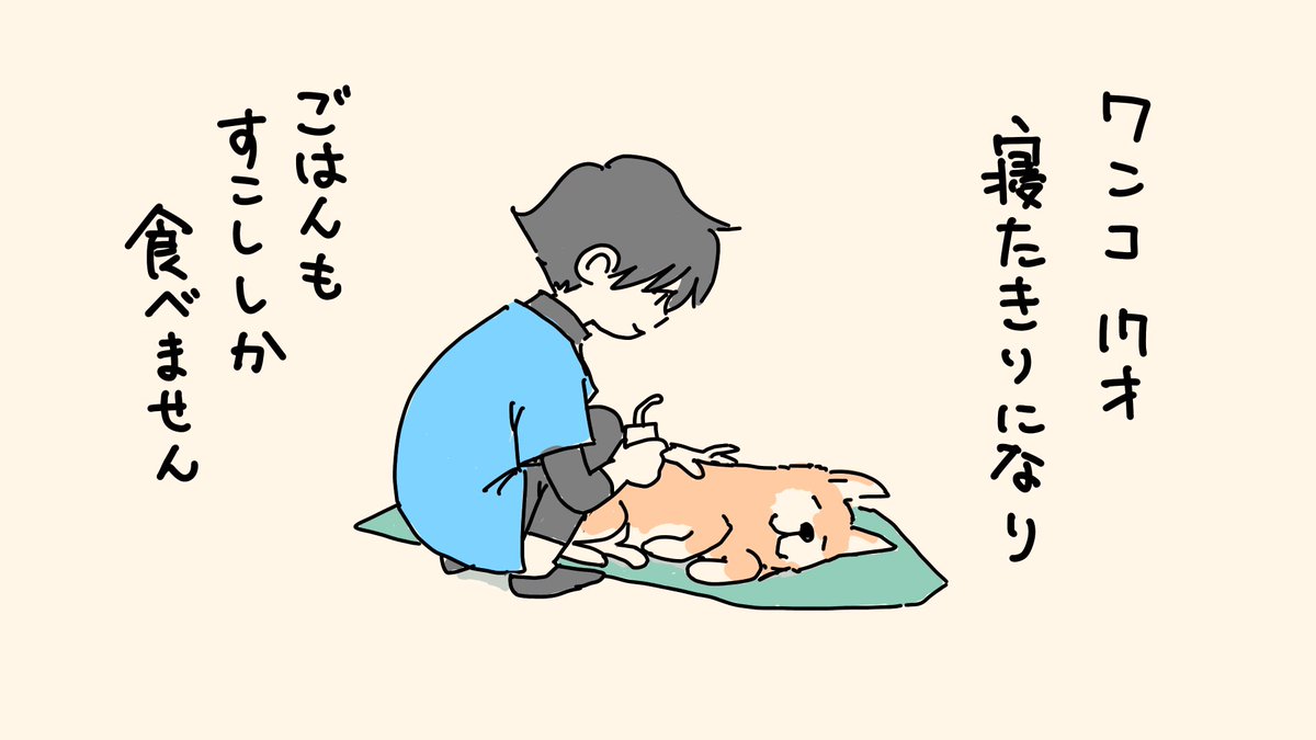 老犬介護はしんどいこともありますが、悲しんでいるとワンコにはすぐバレてしまうと思うので、なんとか笑顔で、、、

#秘密結社老犬倶楽部 