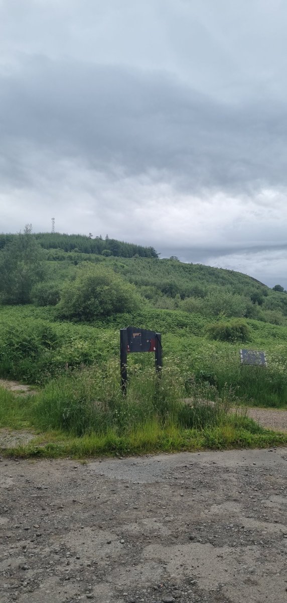 Had so much fun at the groups last night!

The girls group helped us create pride Flag which we will be using on Saturday 🏳️‍🌈

While the boys group managed to complete the whangie 💪🏞

#girlshealthgroup #boyshealthgroup <a href="/ysortit/">Y sort it</a>