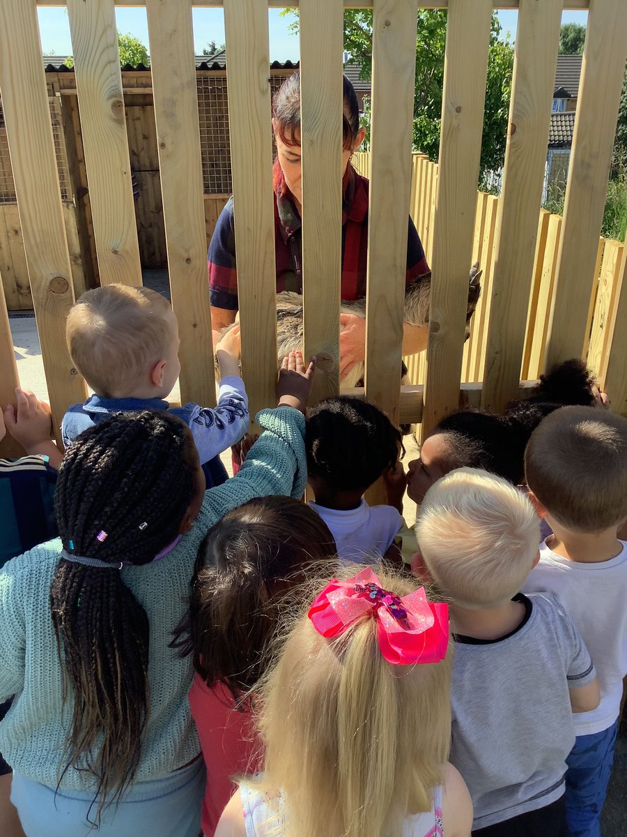RHA_Leeds's tweet photo. A VERY exciting day today as we welcome Buzz and Woody to our outdoor learning environment! #forestschool #goats https://t.co/BNTuDI5jpq