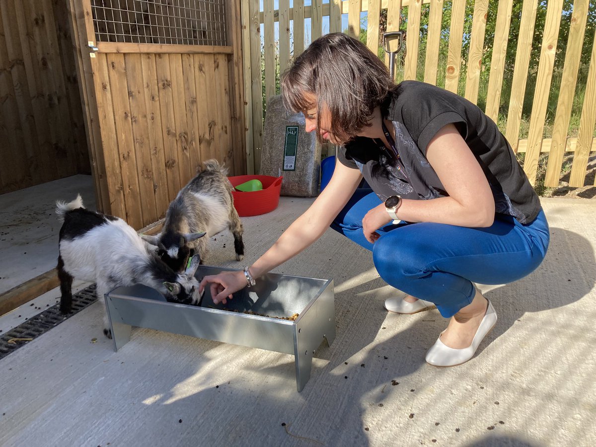 RHA_Leeds's tweet photo. A VERY exciting day today as we welcome Buzz and Woody to our outdoor learning environment! #forestschool #goats https://t.co/BNTuDI5jpq