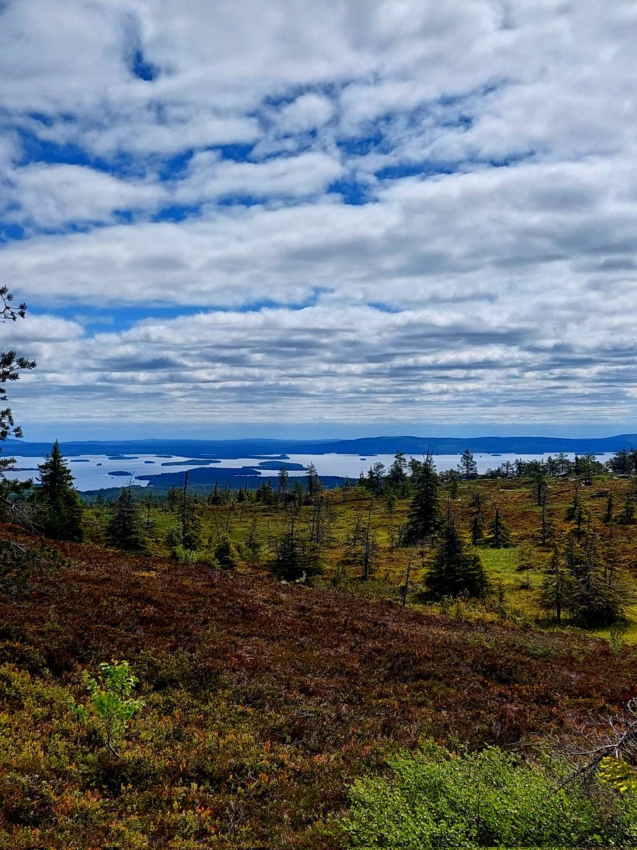 minna625's tweet photo. #Riisitunturi'n aamu #Posio oli sangen pilvinen, mutta maisemat aina yhtä upeat. Maisemien ohella luonnollisesti parasta on nousta Riettaan päätteeksi takaisin tunturille. Hieman jo väsyneen kehon jalkavoimat punnitaan.#sitkeys #maisema #luonto https://t.co/iQcxQqMkw3