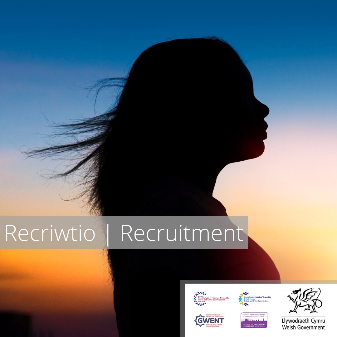 #Jobs 

Together, the 4 Welsh Commissioners &amp; <a href="/WelshGovernment/">Welsh Government</a> are looking to establish a new multi-agency pan #Wales team to support the delivery of the #VAWDASV Blueprint. 

Interested? Find out more and apply here: bit.ly/VAWDASVWales

Closing 29/06/2022