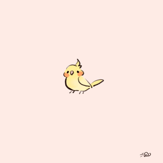 オカメインコルチノーのtwitterイラスト検索結果