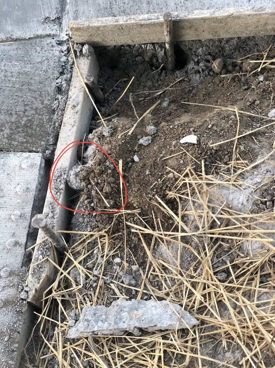 cjmartz's tweet photo. This is my brand new sprinkler head replaced about three weeks ago after accessible sidewalks were installed on my lot. Yesterday they ripped out the recently grass seeded area to do more work. Why???? #CityOfFishers #FishersIndiana #HowardCompanies https://t.co/Fr9K9tqXva