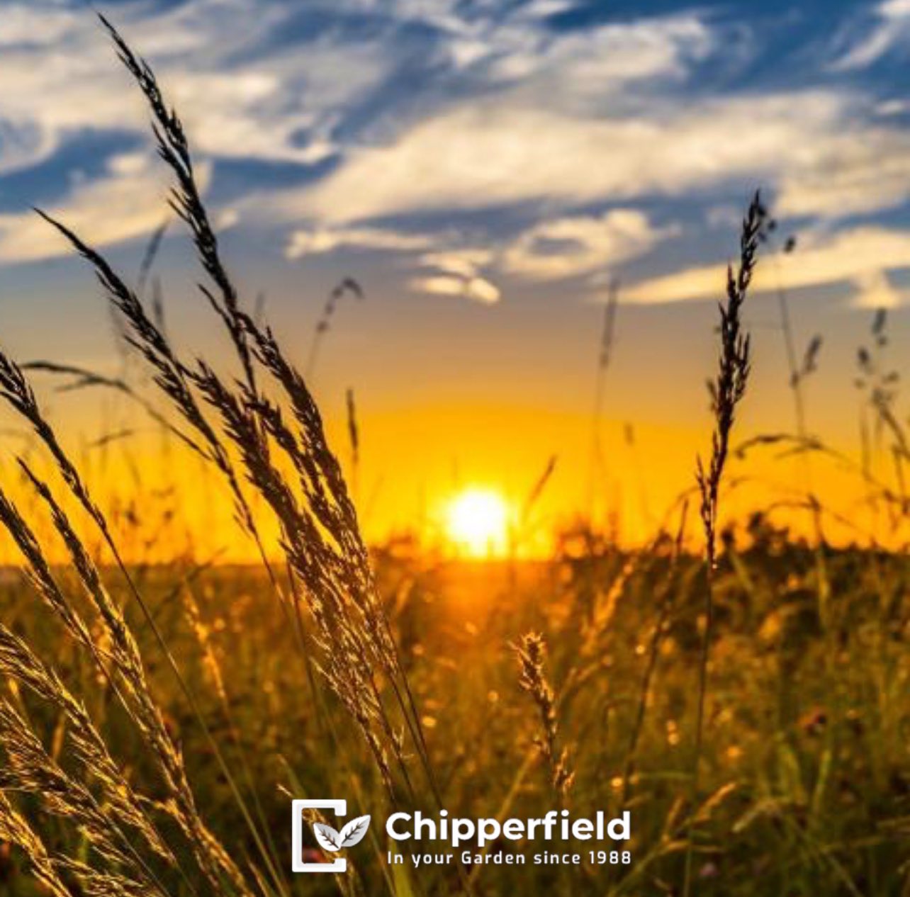 Chipperfield garden machinery sale