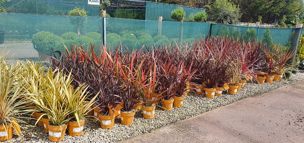 Grasslands Nursery tweet media
