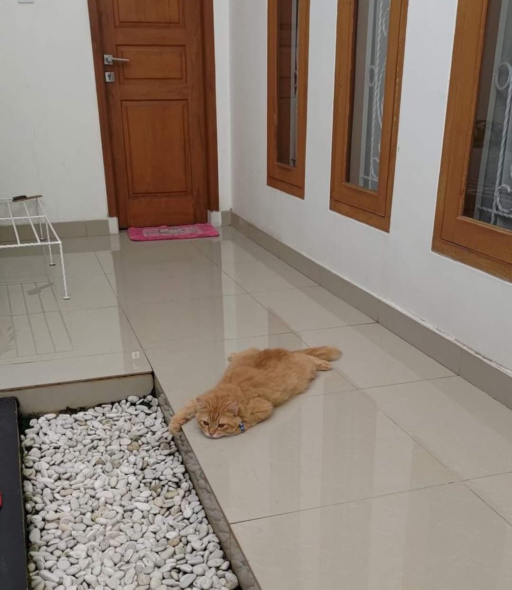 Sıcaklar yüzünden şu şekil takılıyorum