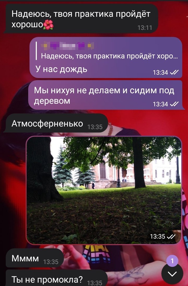 ви ⩜⃝йэминь🐺🦭하트 ⋈⁷II̷I̷I̷ఇ tweet media