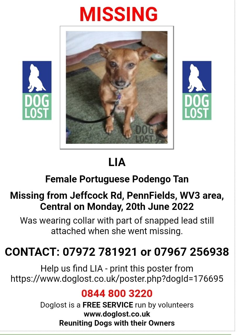 MissingPetsGB's tweet photo. 🐕 LIA #Missing from Jeffcock Rd, Penn Fields #Wolverhampton West Midlands #WV3 on Monday 20 June 2022
Lia was wearing collar with part of snapped lead still attached when she went missing.
https://t.co/JE4YYnO6OD https://t.co/q1F9whdUl0